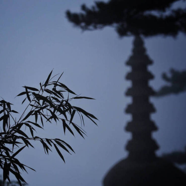 神谷道场（神谷熏主持的道场、剑心寄宿处） - 弹幕视频网站在线观看 - 网页看电影